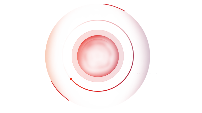 重慶網(wǎng)站建設(shè)