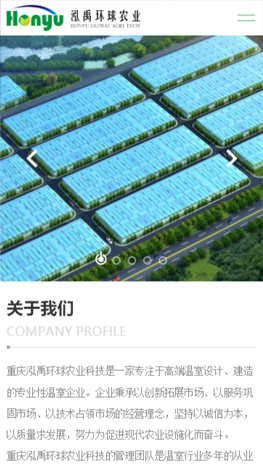 重慶網(wǎng)站建設